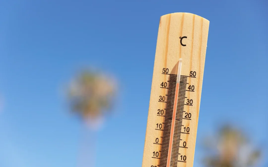 Canicule : astuces simples pour garder son logement frais