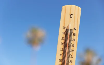 Canicule : astuces simples pour garder son logement frais